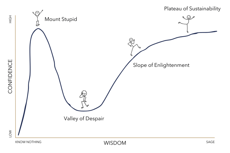 Dunning Kruger effect (1)